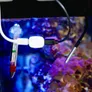 Shelly Temperatursensor DS18B20 3,5 mm Jack 1m Kabel