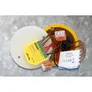 Shelly 4-Channel Decoupler 230V Schaltrelais
