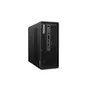 Lenovo ThinkStation P3 Ultra SFF G2 Core Ultra 7 265 48GB/512GB Intel Graphics Win 11 Pro 30J5007NGE