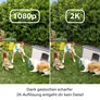 RING Outdoor Cam Plus - Battery Black - EU WLAN-Außenkamera mit Akku