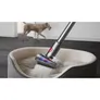 Dyson V12 Detect Slim Absolute Akkusauger gelb/nickel
