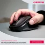 Cherry Stream Desktop Ultimate Schwarz Maus-Tastaturkombination, kabellos, Bluetooth, 2.4 Ghz Empänger