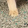 PETKIT 5-in1 Katzenstreu-Mix 4er Pack grau