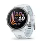 Garmin Forerunner® 170 Steinweiss/Pudergrau mit Schnellwechsel-Silikon-Armband 20 mm Steinweiss/Cloud Blue