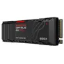 SANDISK Optimus GX PRO 850X NVMe SSD mit Kühlkörper 1TB