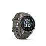 Garmin Fenix 9 - 43 mm, AMOLED Pebble Gray QuickFit®-Silikon-Armband