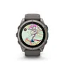 Garmin Fenix 9 - 51 mm, AMOLED Pebble Gray QuickFit®-Silikon-Armband