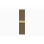 Apple Watch Series 12 GPS + Cellular 42mm Radiant Gold Titanium Case with Radiant Gold Milanese Loop