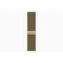 Apple Watch Series 12 GPS + Cellular 46mm Radiant Gold Titanium Case with Radiant Gold Milanese Loop - S/M