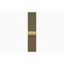 Apple Watch Series 12 GPS + Cellular 46mm Radiant Gold Titanium Case with Radiant Gold Milanese Loop - M/L