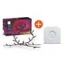 Philips Hue Festavia String Lights 250LEDs + Philips Hue Bridge