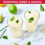 Magimix Gelato Expert Eismaschine mit Kompressor Profi-Eisbereiter für Speiseeis, Sorbet & Frozen Yogurt