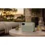 Pure Bloom Radio mit Bluetooth DAB+/UKW IPX5 portabel, mit Akku, salbeigrün